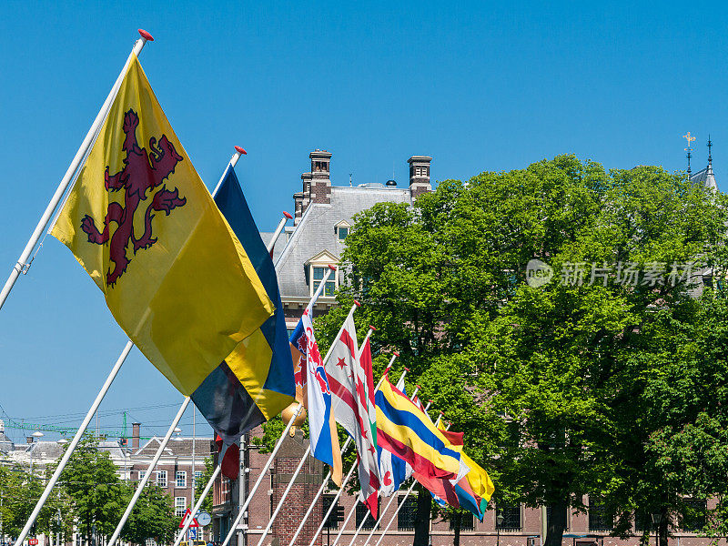 荷兰海牙议会的地区旗帜
