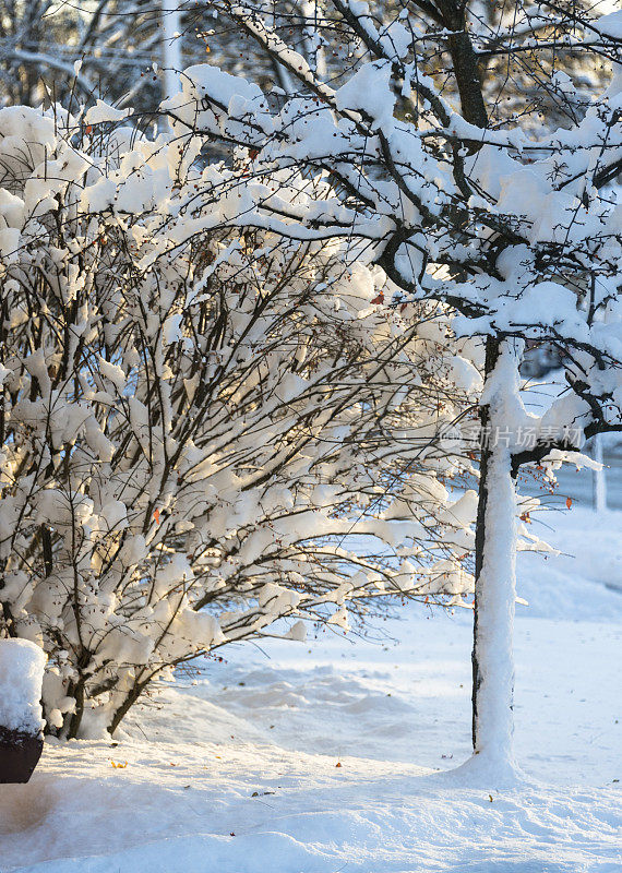 美国中西部冬季降雪