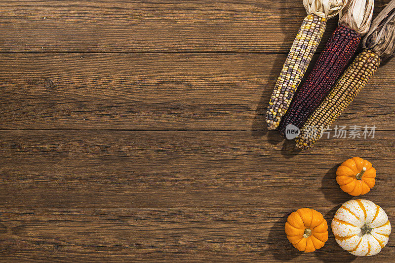 彩色的印第安玉米，南瓜和葫芦木板背景