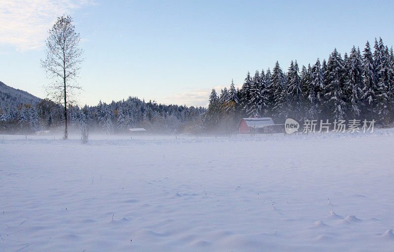薄雾笼罩着白雪皑皑的田野