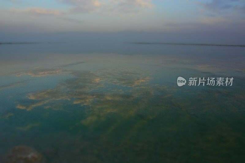 死海背景，以色列