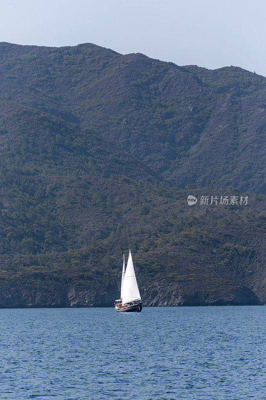 在土耳其穆格拉的波德鲁姆湾，传统的帆船在蓝色之旅中航行