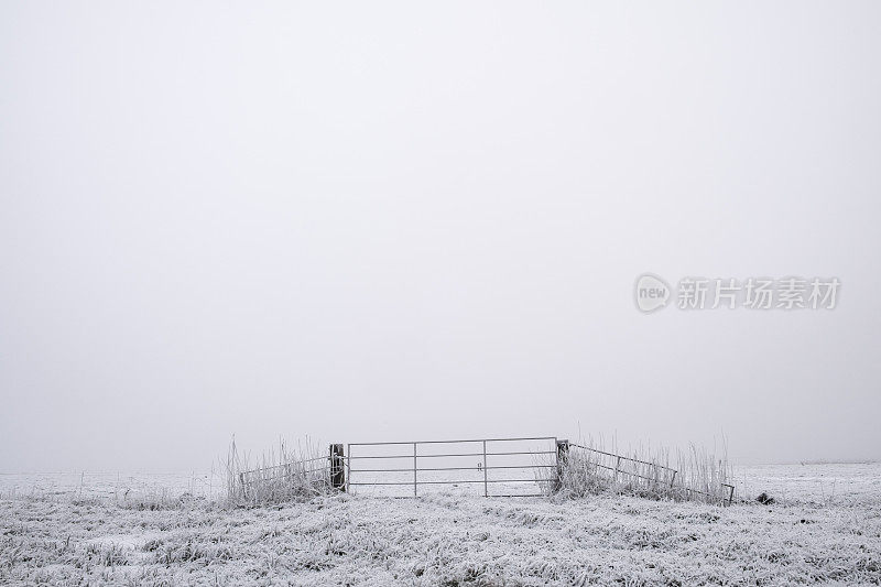 薄雾清晨的冬日美景