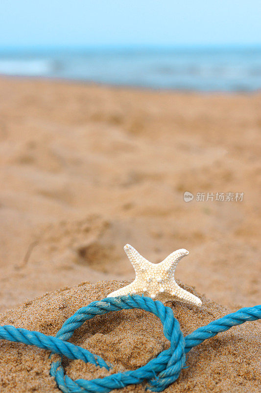一根蓝色的绳子打了个结，一只海星在海边金色的沙滩上