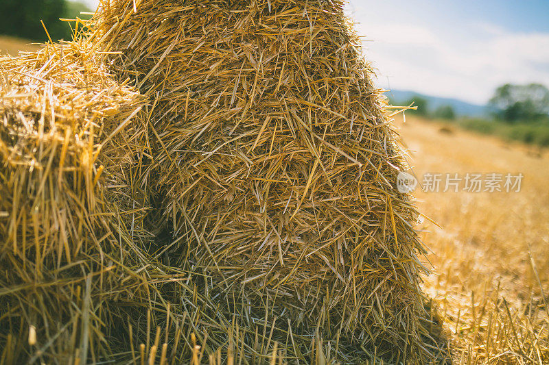 干草捆。农田与天空。田园自然在农田里。草地上的稻草。小麦黄澄澄的收获在夏天。乡村自然景观。粮食作物,收获。