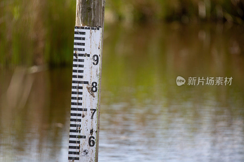 英格兰南部普尔港布朗西岛湿地的洪水水位深度标志。