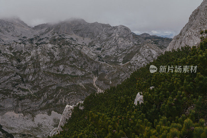 山和森林