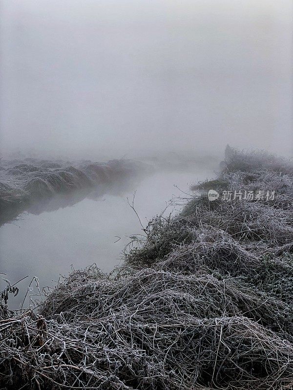 冬天的早晨在公园里