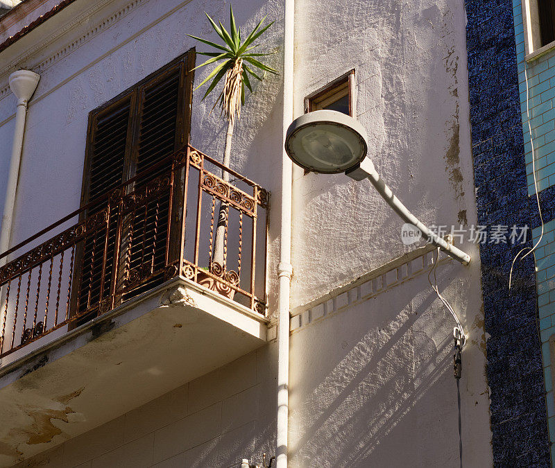 一个阳台，一株奇异的植物，一盏路灯