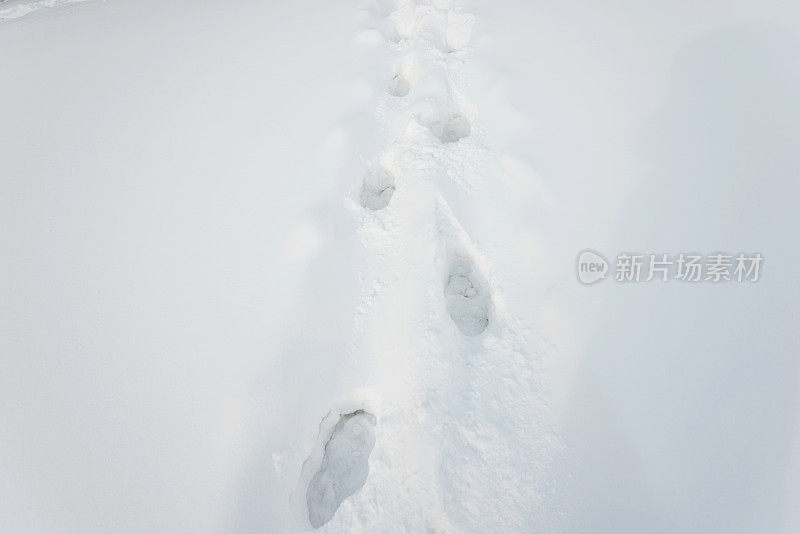 雪地里的脚印