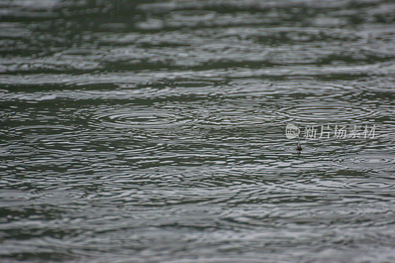 垂钓湖上的倾盆大雨