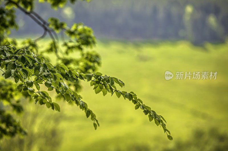 全景山景