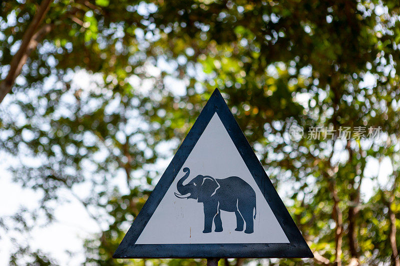 大象的路标