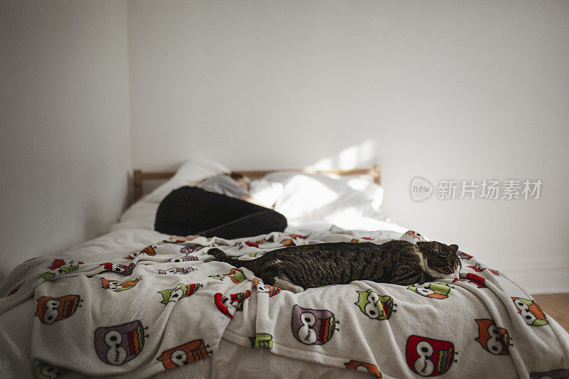 和一只猫一起睡在床上的年轻女人