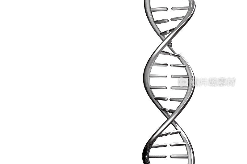 白色背景上分离出的银色金属DNA