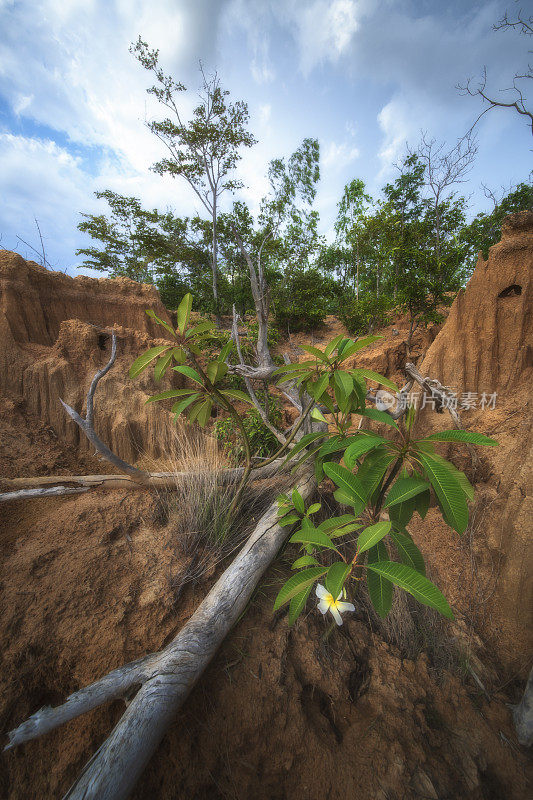 泰国Sakaeo省的Lalu公园，由于土壤侵蚀产生了奇怪的形状。