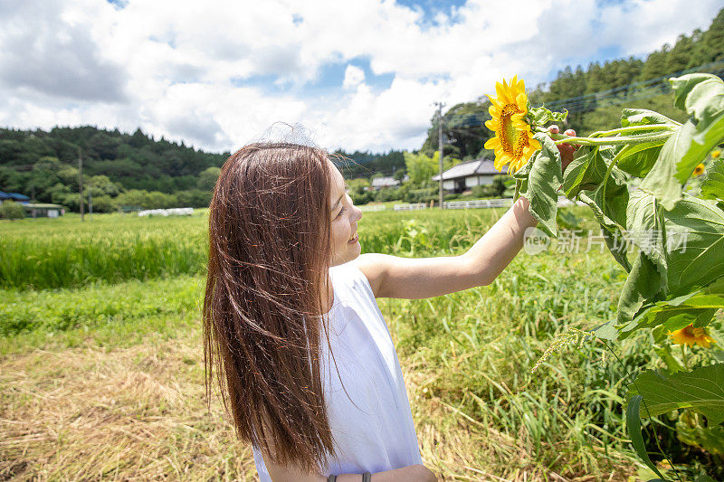 年轻女子在农场触摸向日葵