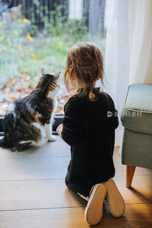 小女孩和小猫