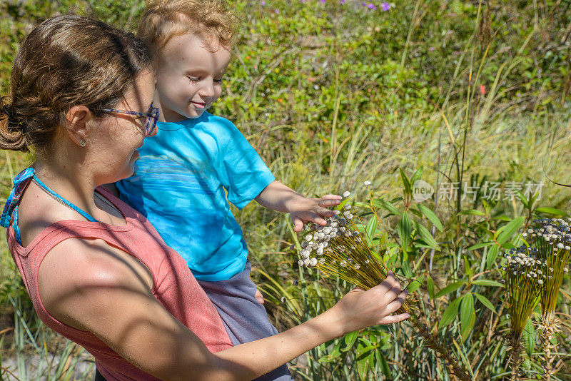 母亲和蹒跚学步的儿子探索自然触摸塞拉多花在戈亚斯