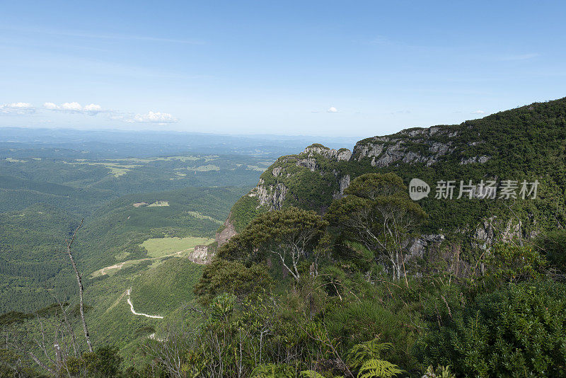 布兰科塞拉-卡塔林内塞，巴西