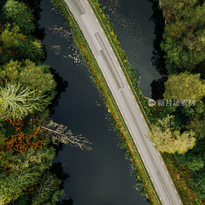 森林树木和道路的自然景观在瑞典无人机图像