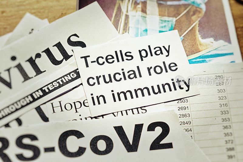 关于COVID-19大流行中的t细胞免疫的报纸头条