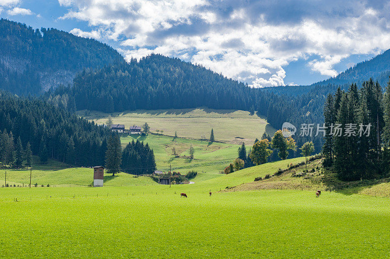 奥地利奥斯汀的阿尔卑斯山田园诗般的风景