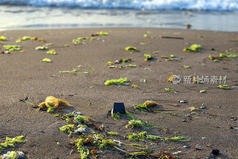 环境污染和海滩上的塑料垃圾，海洋唾液和粘液