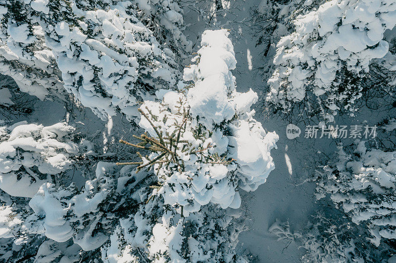 冬季大雪覆盖森林的高角度视角