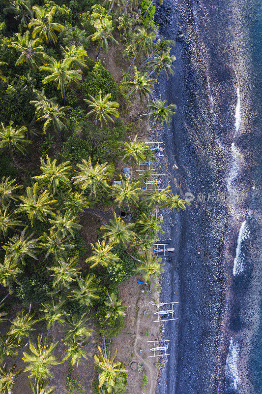 巴厘岛北部海岸线，椰子树面朝大海