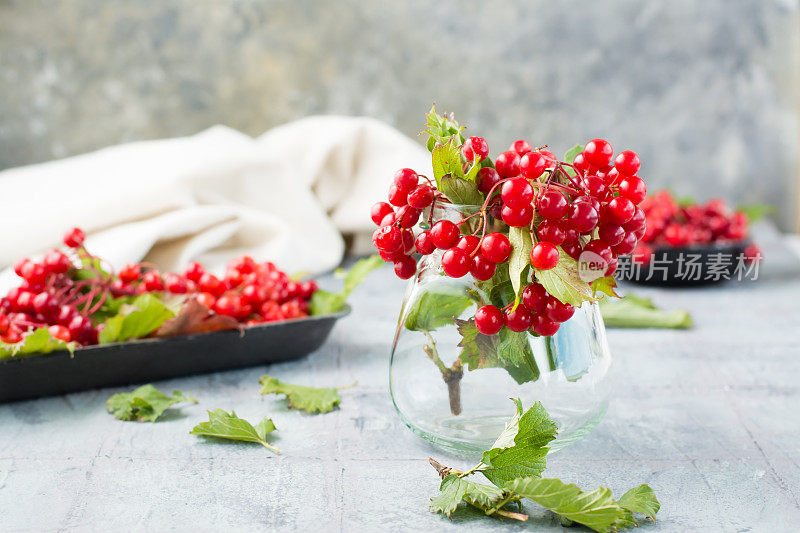 树枝与成熟的荚木浆果和叶子在一个罐子和基质上的背景在桌子上。健康、替代医学和维生素营养