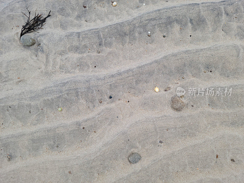 锡利群岛海滩上的贝壳。