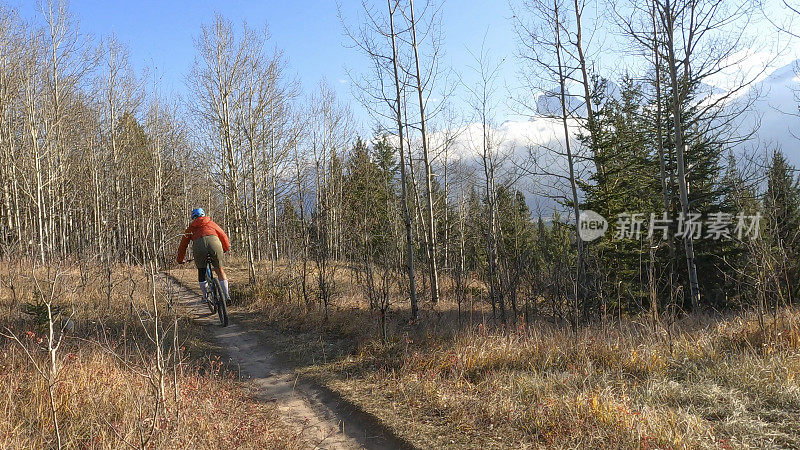 秋天，一个女人骑着山地自行车穿过森林的草径