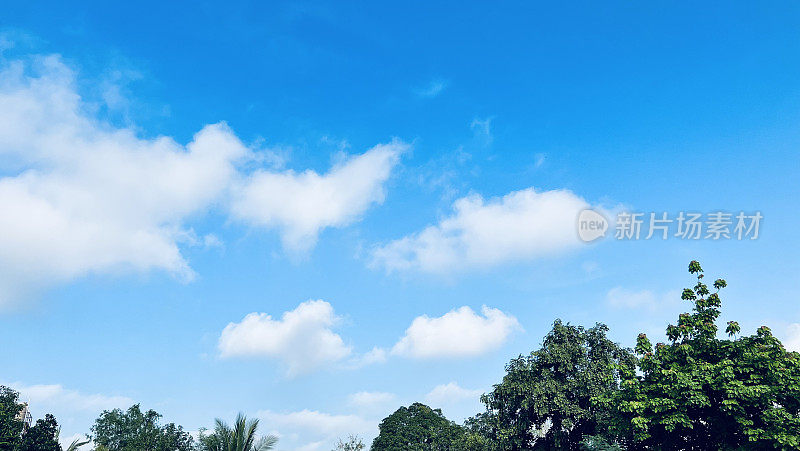 天空和树上飘着朵朵白云