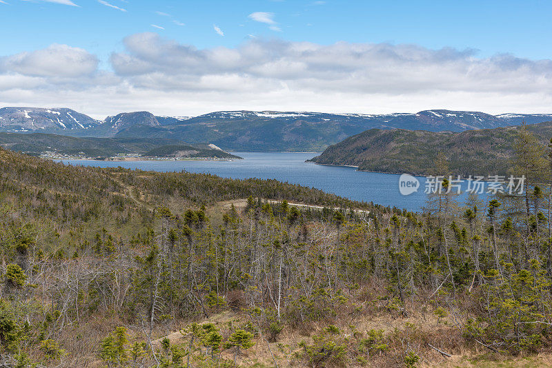 格罗斯莫恩国家公园瞭望山步道，邦尼湾，纽芬兰和拉布拉多