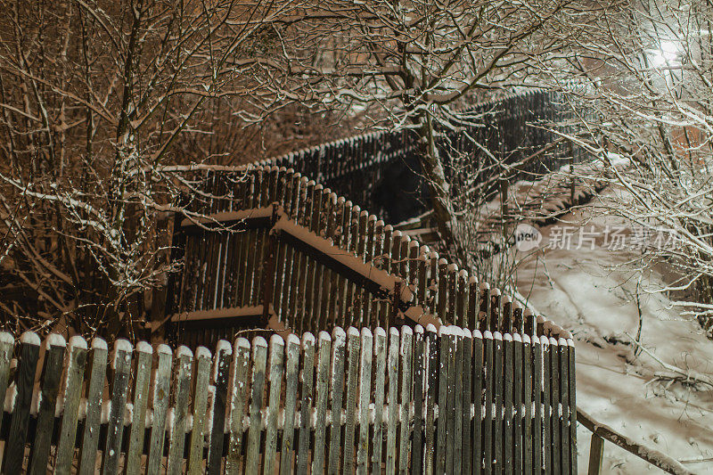 晚上冬天森林。树枝上的雪。自然背景。Copyspace。寒冷的天气。气候。霜