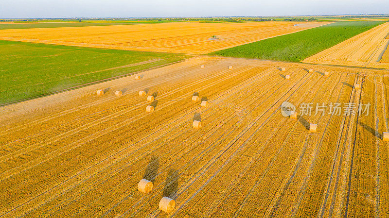 在收获期，季节的农业领域的鸟瞰图，圆形的稻草捆在收获的领域