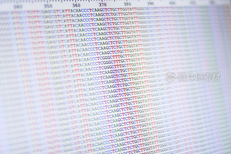 排列的DNA序列显示在液晶电脑屏幕上。