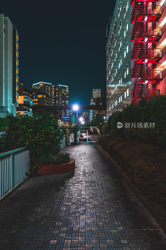 东京柴浦的夜景