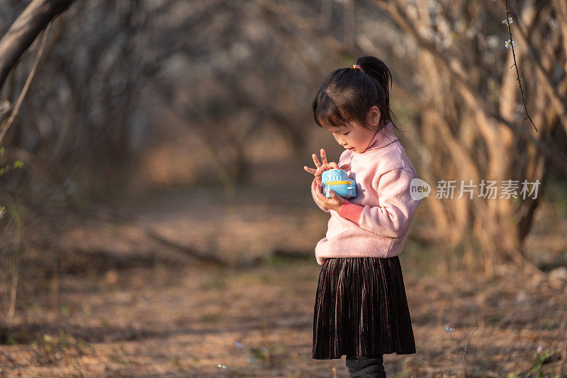 一个中国小女孩正在梅林里玩泡泡玩具