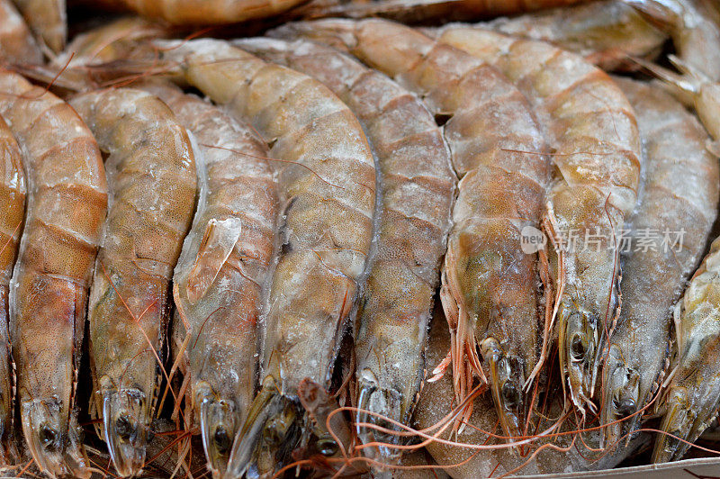 一堆生冻虾，一种甲壳类动物(贝类的一种)，身体细长，主要以游泳为运动方式，十足目的甲壳目或枝鳃目，准备煮熟