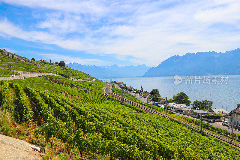 瑞士沃州著名的拉沃梯田葡萄园、日内瓦湖和阿尔卑斯山
