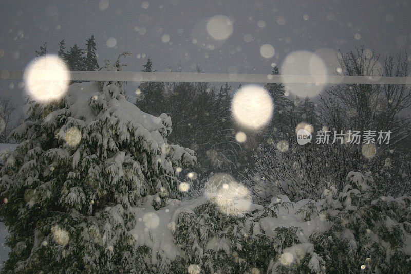 IMG_7121透过窗户的雪