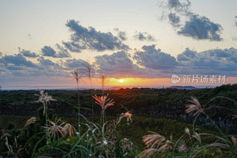 济州日落与芦苇