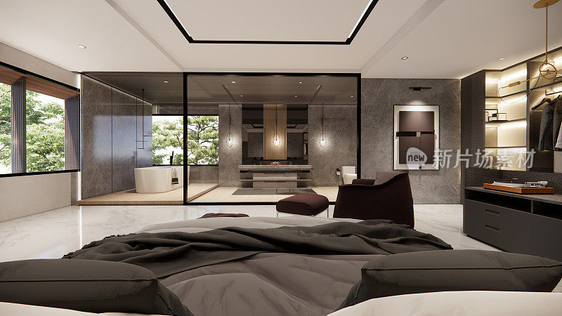 豪华的现代化的室内复式房子，描绘在令人惊叹的3D渲染