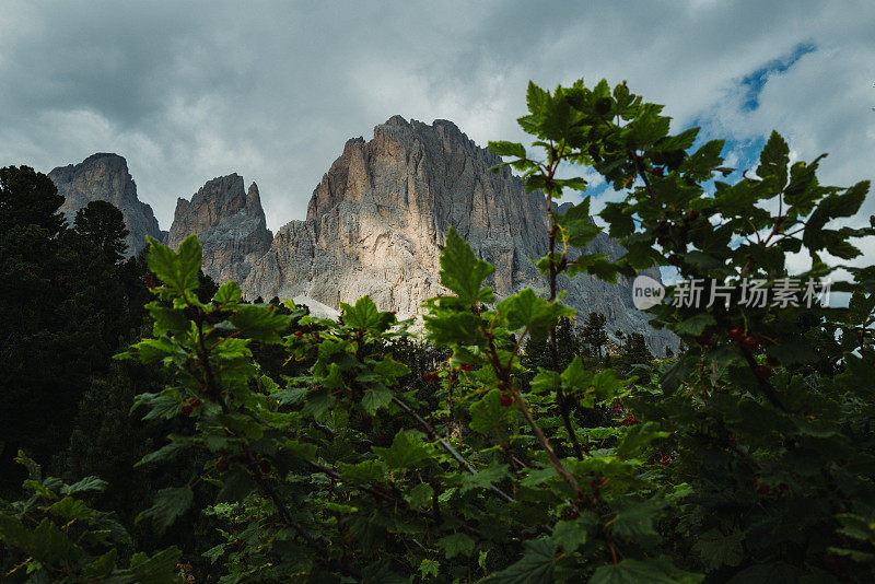 意大利白云岩的夏季景观:萨索伦戈山脉