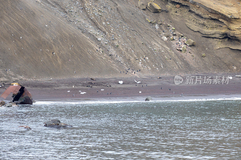 捕鲸湾，欺骗岛，南设得兰岛