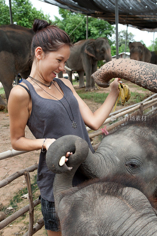 女孩正在喂小象