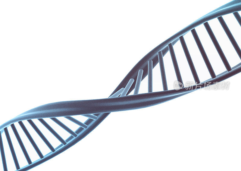 白色DNA螺旋