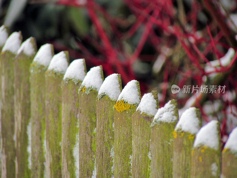 木雪栅栏